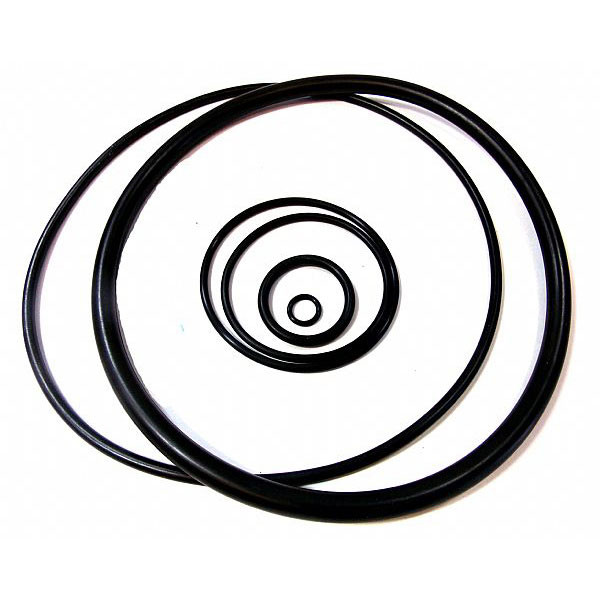 Fisher R1061X00402 R1061X00402