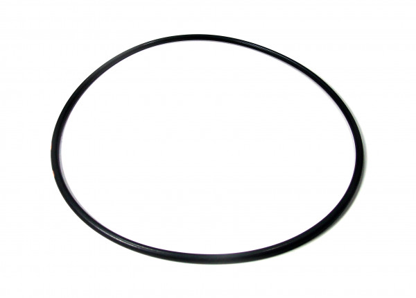 Fisher V110190X022 V110190X022