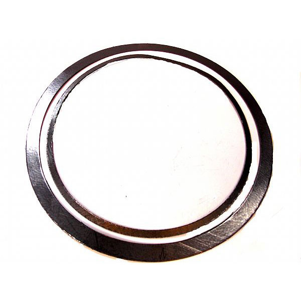 Fisher RGASKETX232 RGASKETX232